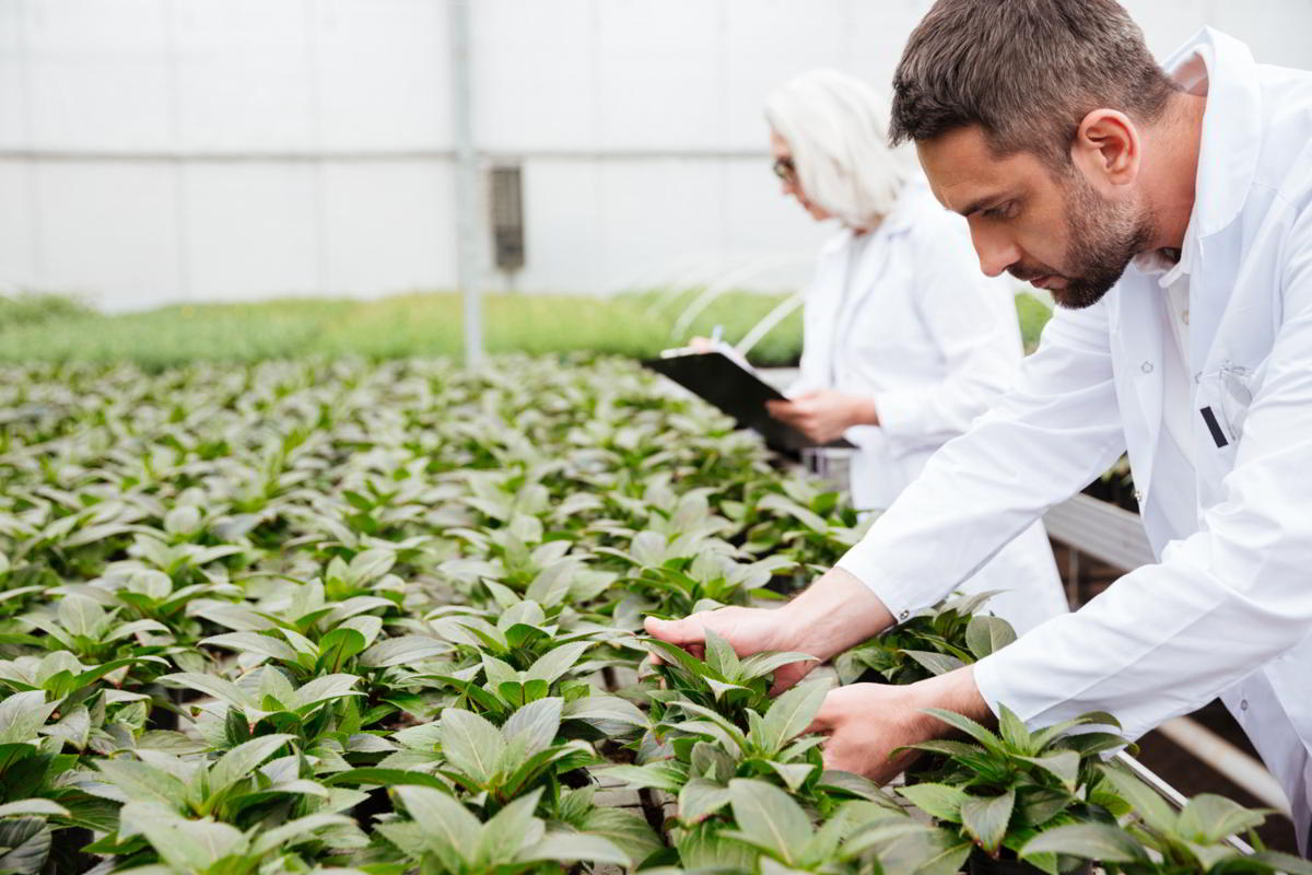 Agriculture